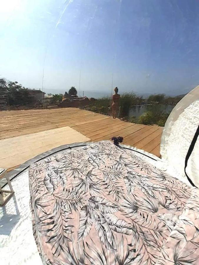 努埃瓦维达芬卡乡村民宿 Chío 外观 照片