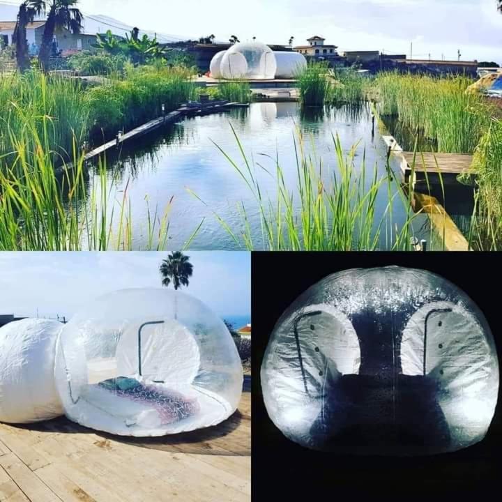 努埃瓦维达芬卡乡村民宿 Chío 外观 照片