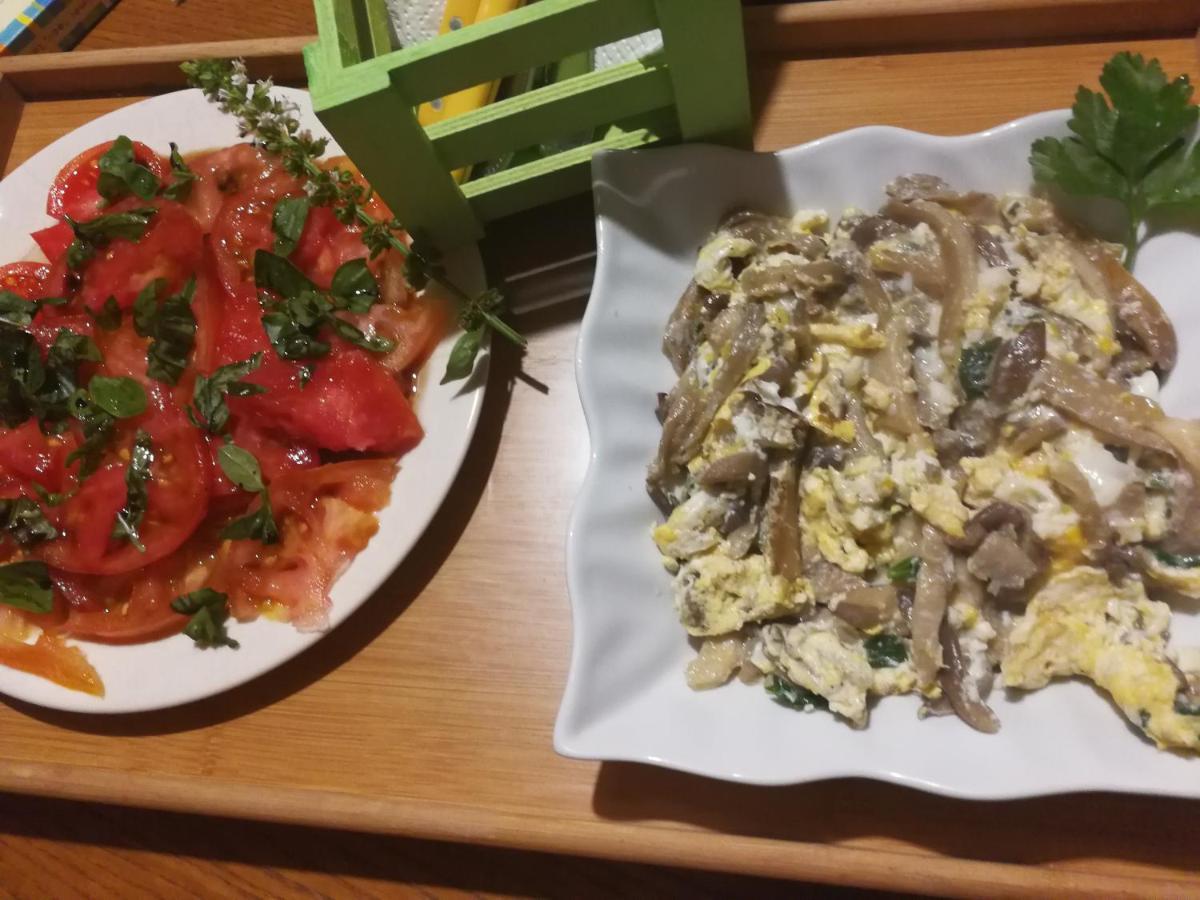 努埃瓦维达芬卡乡村民宿 Chío 外观 照片