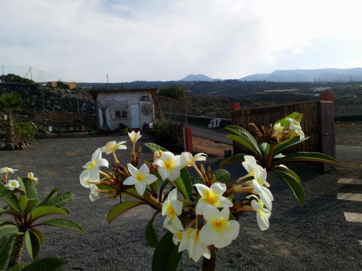 努埃瓦维达芬卡乡村民宿 Chío 外观 照片